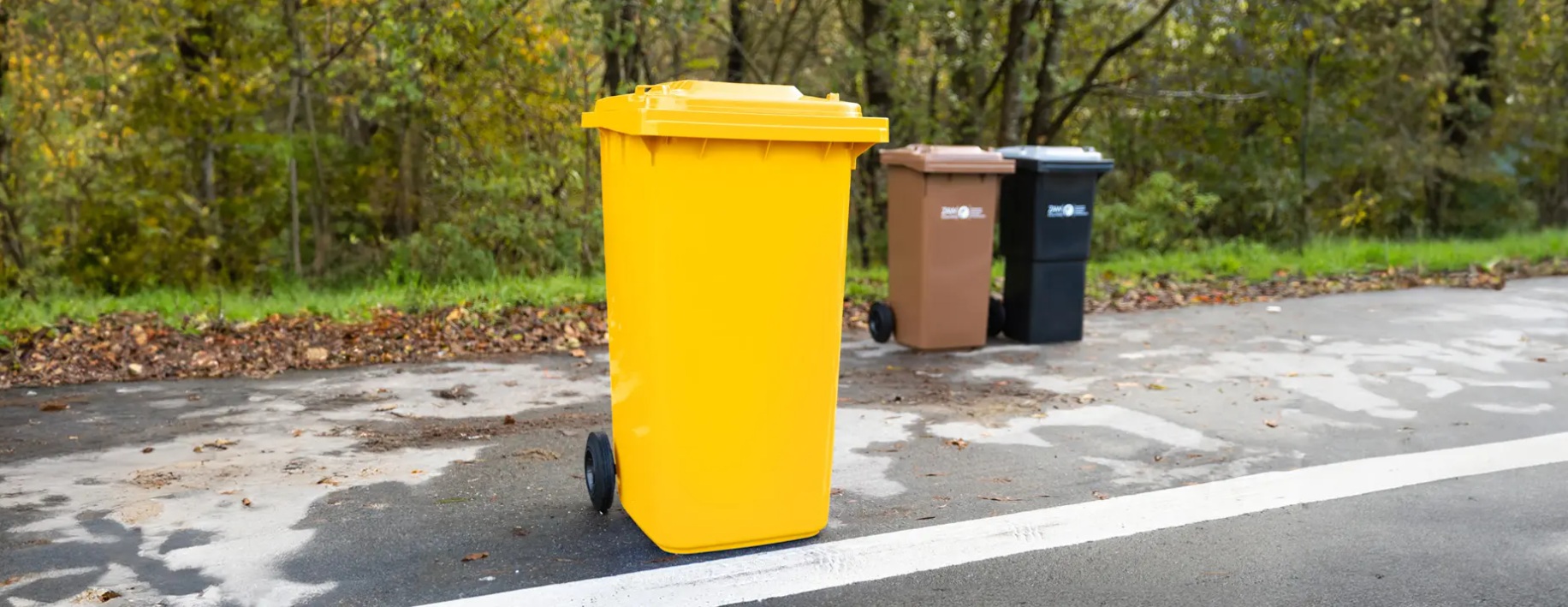 Umfrage zur Gelben Tonne