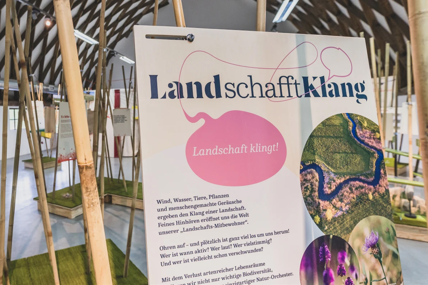 Sonderausstellung 
